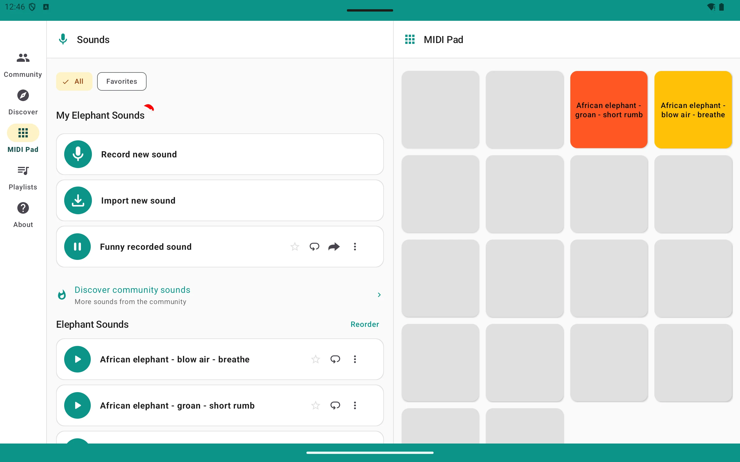 Elephant Trumpet Sounds screenshot